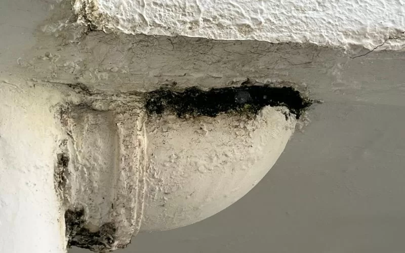 Teto com mofo visível em estrutura de cimento.