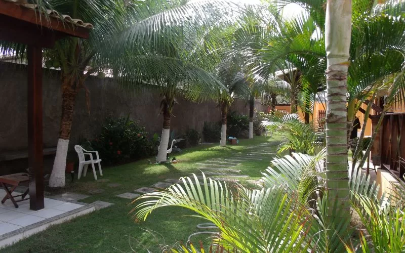 Jardim com palmeiras e cadeiras brancas ao sol.