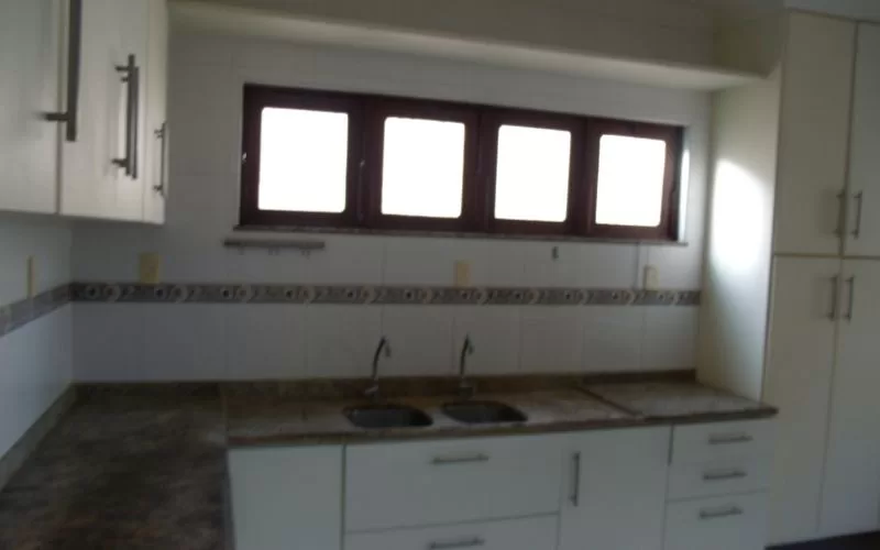 Cozinha moderna com armários e janelas.