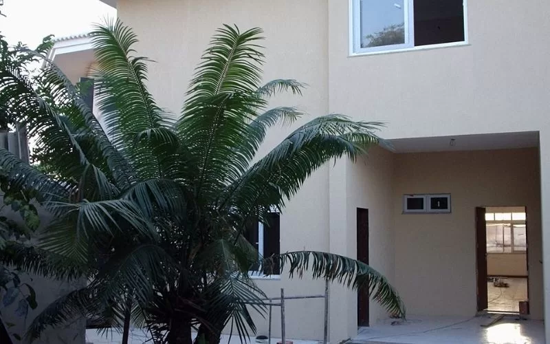 Casa com palmeira na entrada.