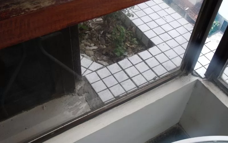 Pátio com ladrilhos e plantas visto da janela.