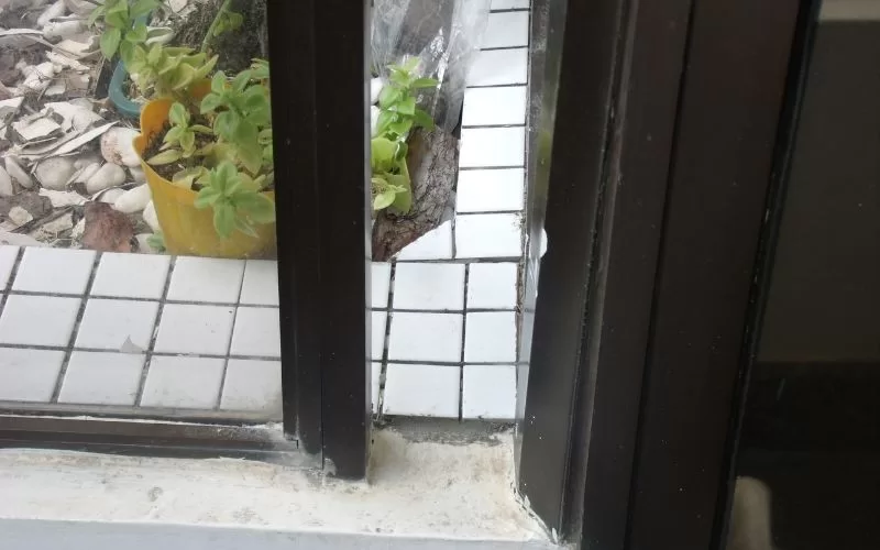 Janela com plantas em vaso amarelo.