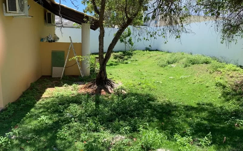 Jardim com árvores e relva verde ao sol.