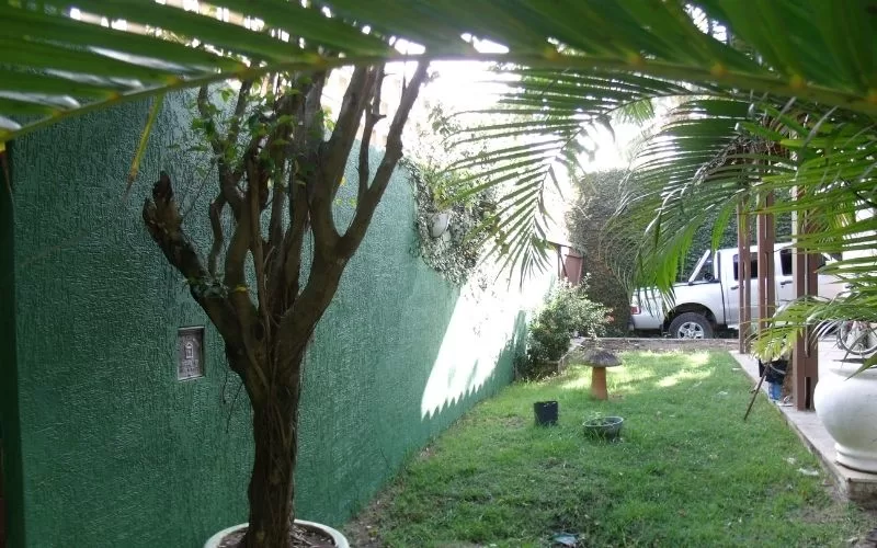 Jardim com árvore e carro estacionado
