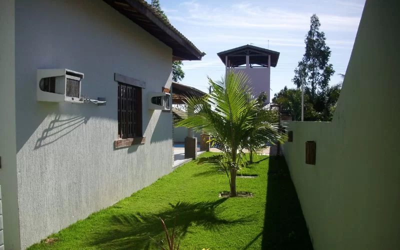 Jardim verde com palmeira entre edifício e muro