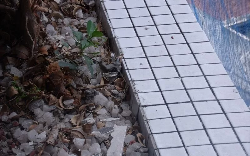 Piso de ladrilhos próximo a jardim com folhas secas.
