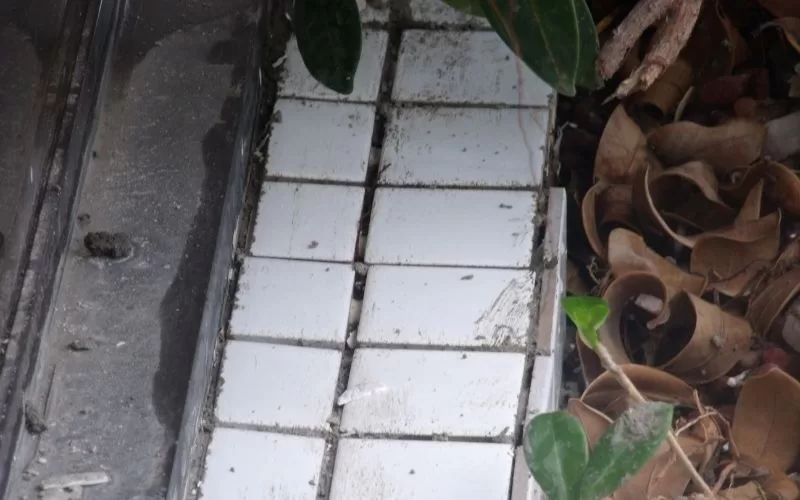 Azulejos sujos e folhas secas no chão