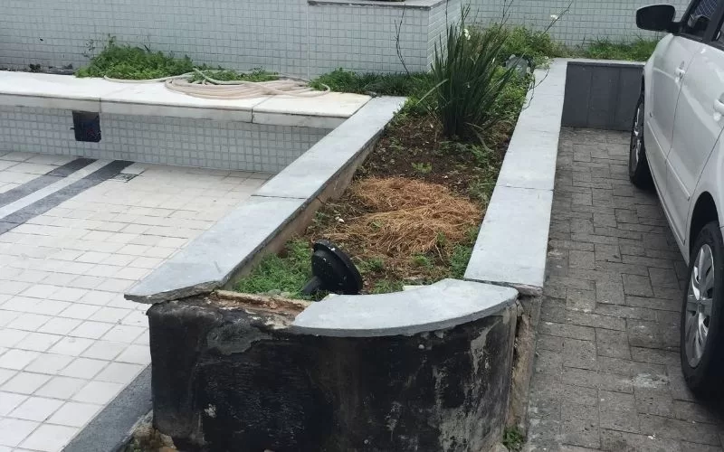 Carro estacionado ao lado de canteiro mal cuidado.