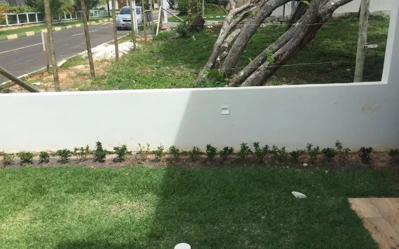 Jardim com relva e árvore inclinada.