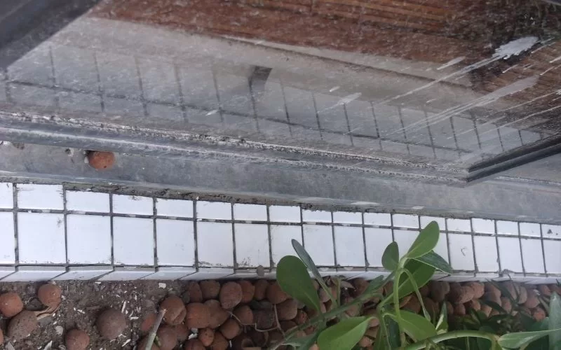 Reflexo em porta de vidro com plantas e azulejos.