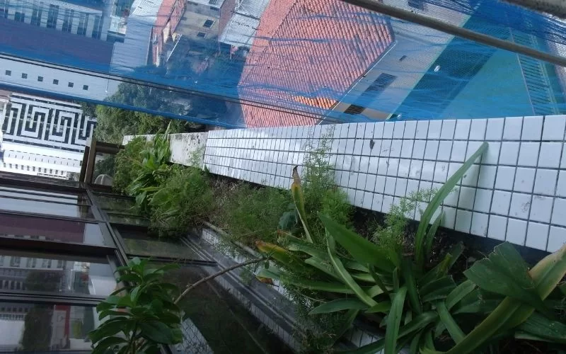 Vista aérea de jardim sobre telhado em zona urbana.