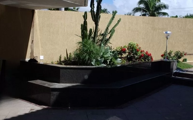 Jardim externo com cactos e flores coloridas.