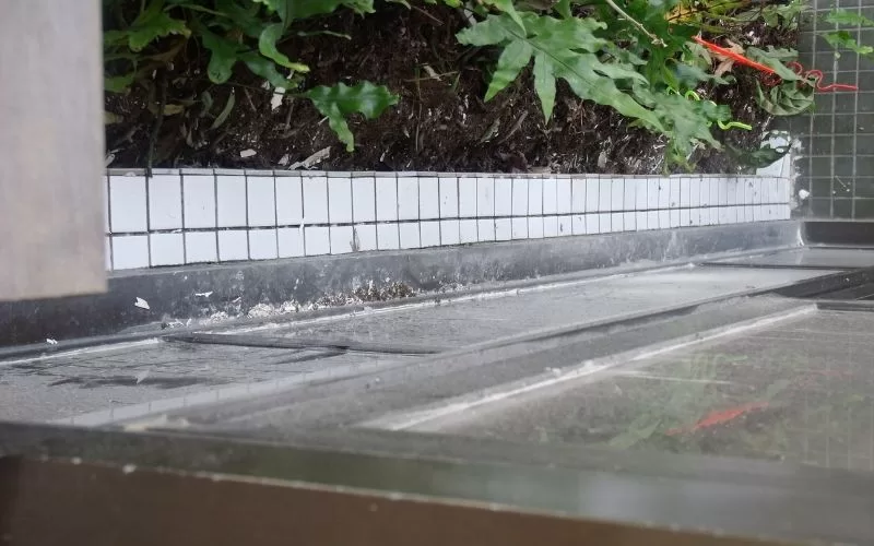 Parede exterior com plantas e azulejos brancos.