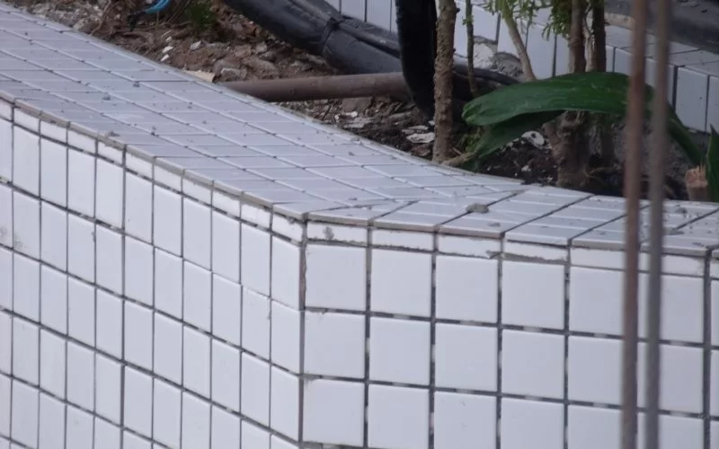 Mureta revestida com azulejos brancos e plantas.