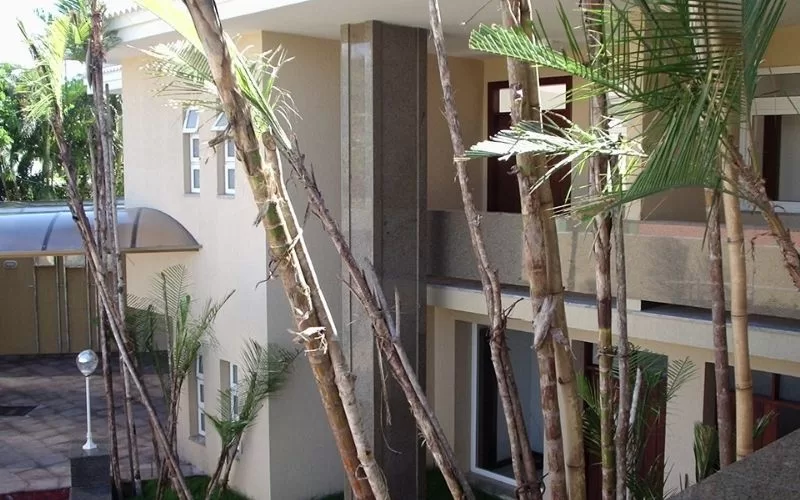 Casa moderna com palmeiras na entrada.