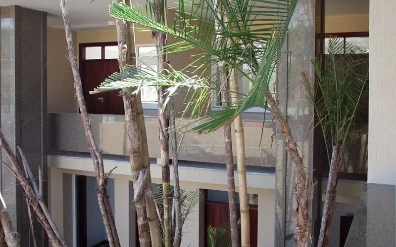 Interior com plantas e decoração moderna