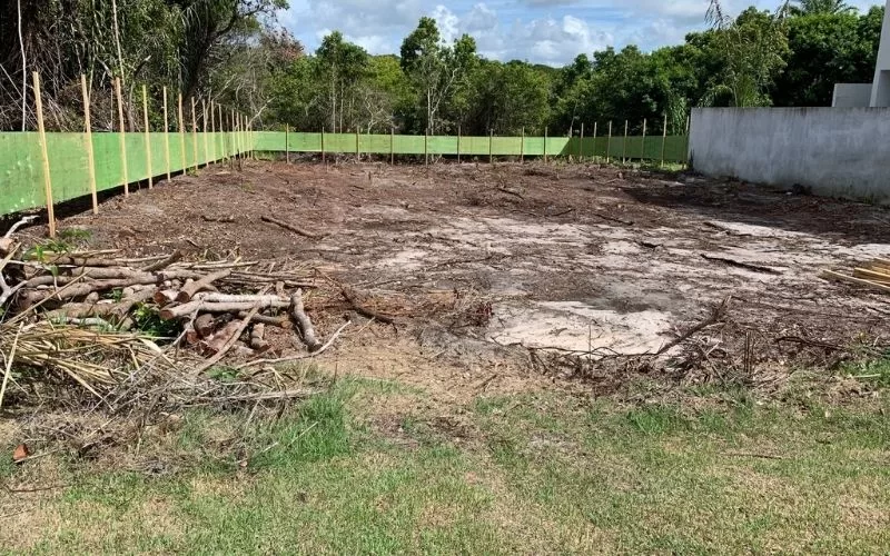 Terreno vazio cercado por árvores e cepos de madeira.