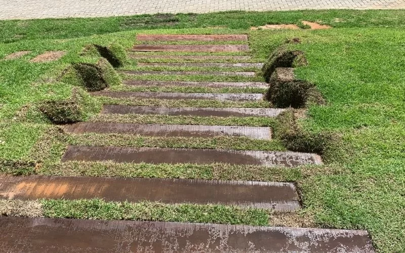 Escadas de madeira integradas em jardim verde.